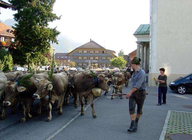 Hotel Oxa Hittisau Exterior photo